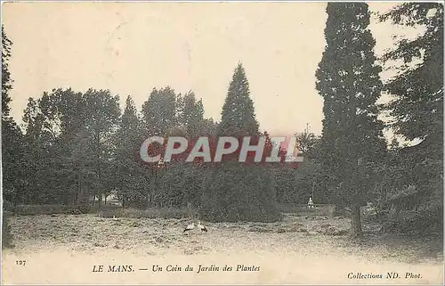 Ansichtskarte AK Le Mans Un coin du Jardin des Plantes