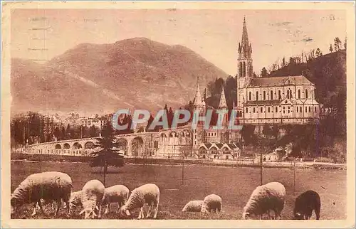 Cartes postales Lourdes La Basilique et le Pic du Jer