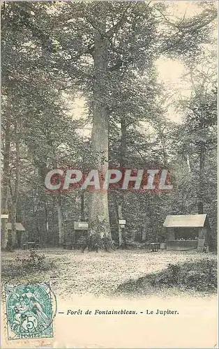 Cartes postales Foret de Fontainebleau Le Jupiter