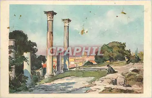 Cartes postales Roma Veduta dai Palatino