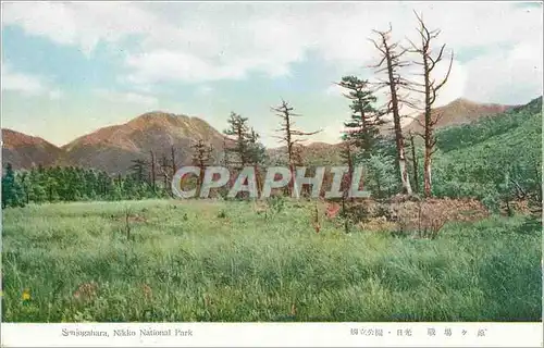 Cartes postales Senjogahara Nikko National Park