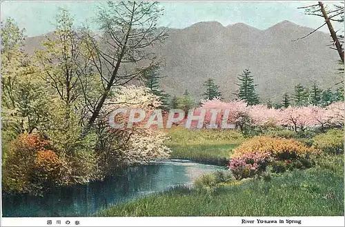 Cartes postales River Yukawa in Spring