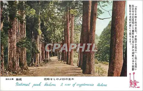 Cartes postales National Park Hakone