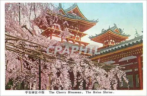 Ansichtskarte AK The Cherry Blossoms The Heian Shrine