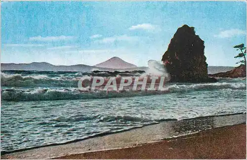 Cartes postales Arasaki Bear