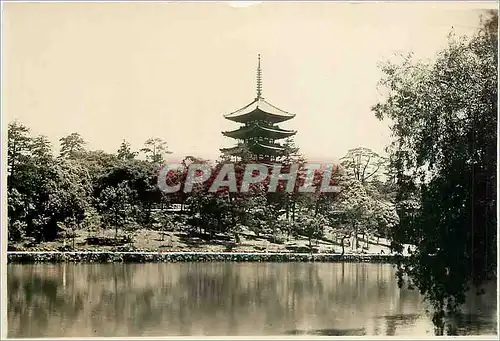 Cartes postales The Sarusawa Pond