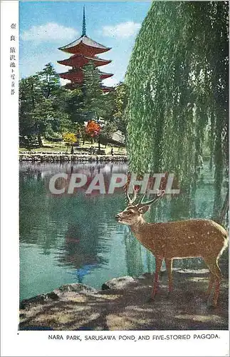 Ansichtskarte AK Nara Park Sarusawa Pond and Five storied Pagoda
