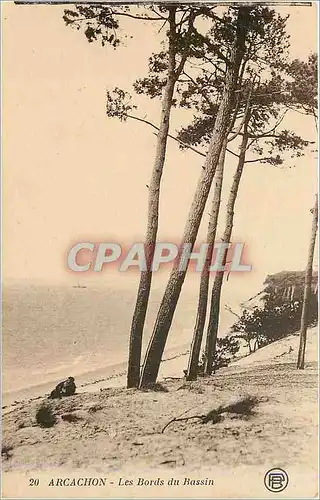 Cartes postales Arcachon Les Bords du Bassin