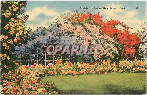 Cartes postales Garden Spot of Key West Florida