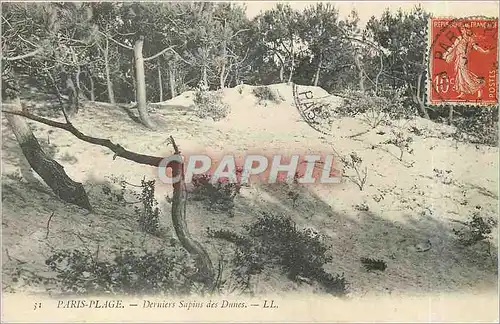 Cartes postales Paris Plage Derniers Sapins des Dunes