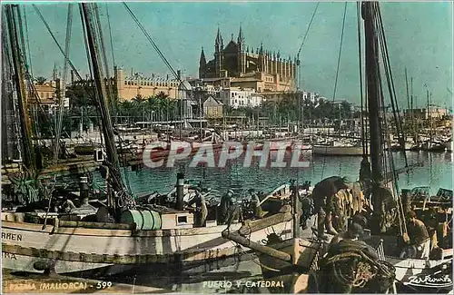 Ansichtskarte AK Palma Mallorca Puerto Y Catedral Bateaux de peche