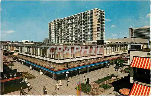 Cartes postales moderne Rotterdam Lijnbaan