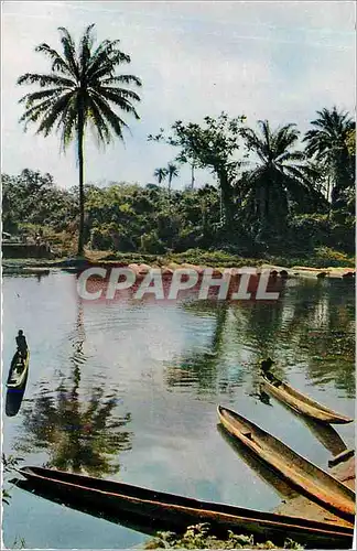 Cartes postales Paysage Africain African Landscape