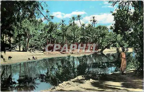 Cartes postales moderne Bechar vu par Argence