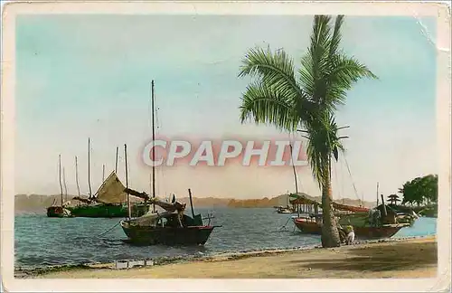 Cartes postales Vatchay Au bord de la mer