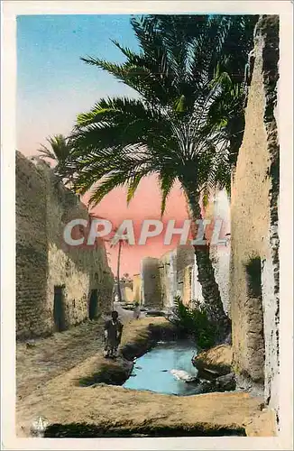 Cartes postales Scenes et types Village du Sud Une rue