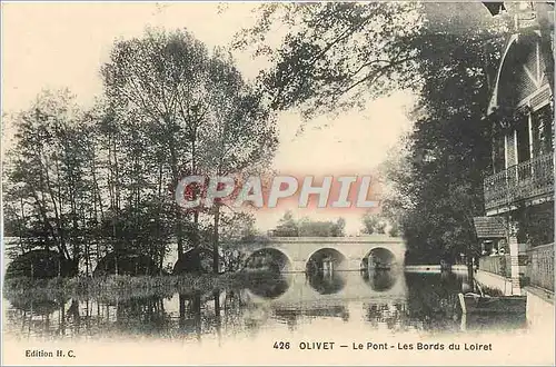 Cartes postales Olivet Le Pont Les Bords du Loiret