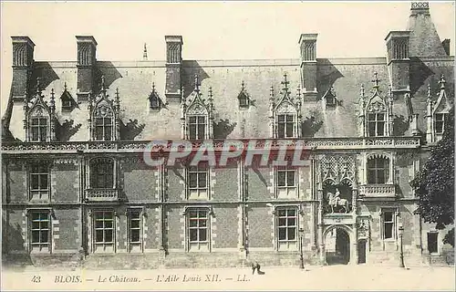 Cartes postales Blois Le Chateau L'Aile XII