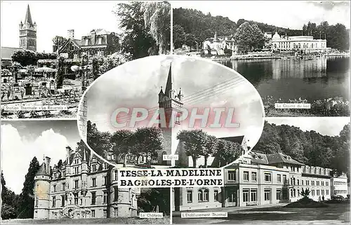 Cartes postales moderne Tesse La Madeleine Bagnoles de l'Orne Station thermale La Roseraie Le casino du lac