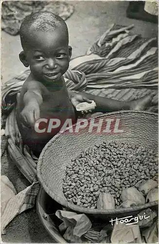 Cartes postales L'Afrique Noire Petit Marchand de Cacahuetes