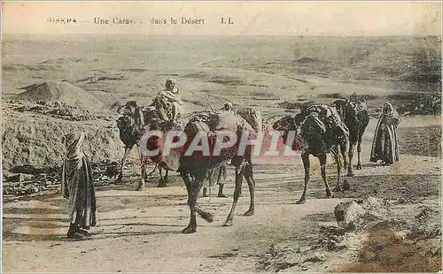 Cartes postales Une Caravane dans le Desert Chameaux