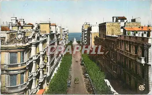 Cartes postales Oran L'Avenue Loubet