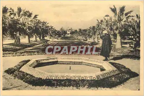 Cartes postales Casablanca Parc Lyautey Une Allee