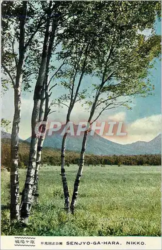 Cartes postales Senjyo Ga Hara Nikko