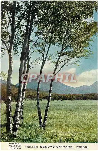 Ansichtskarte AK Senjyo ga Hara Nikko