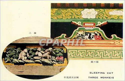 Cartes postales Sleeping Cat Three Monkeis