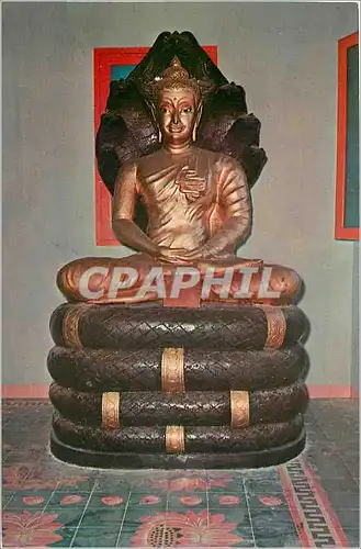 Cartes postales The King of Serpents Thai Buddhist Temple Penang