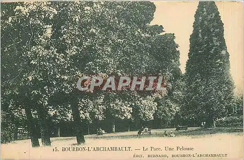 Cartes postales Bourbon l'Archambault Le Parc Une Pelouse