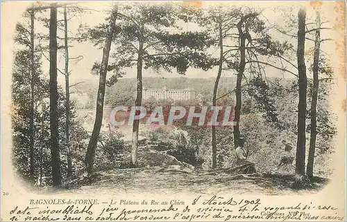 Ansichtskarte AK Bagnoles de l'Orne Le Plateau du Roc au Chien