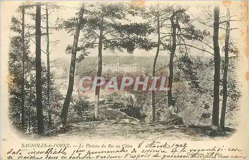 Cartes postales Bagnoles de l'Orne Le Plateau du Roc au Chien