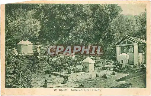 Cartes postales Blida Cimetiere Sidi El Kebir