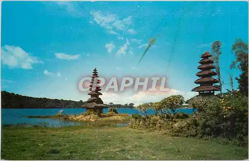 Cartes postales Two beautiful Merus of Tjandi Kuning on the shore of the magnificent Lake Bratan Indonesia