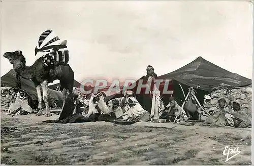 Cartes postales Scene et types Campement de Nomades