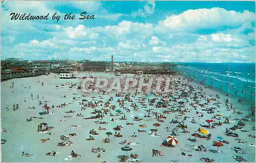 Cartes postales Wildwood by the Sea New Jersey