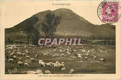 Cartes postales Le Puy de Dome Moutons