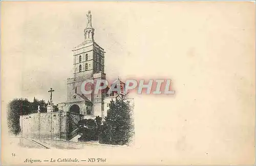 Cartes postales Avignon La Cathedrale