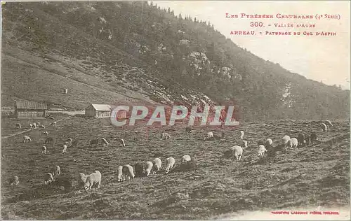 Ansichtskarte AK Vallee d'Aure Arreau Paturage du Col d'Aspin
