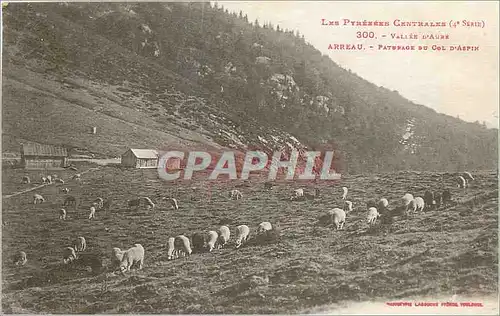 Cartes postales Vallee d'Aure Arreau Paturage du Col d'Aspin