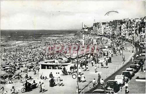 Ansichtskarte AK Knokke Zoute La Digue