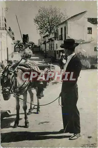 Cartes postales moderne Malaga Tipico vendedor de botijos