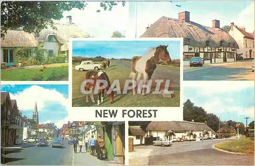 Ansichtskarte AK New Forest Old Cottage Ibsley Old Cottage Ringwood New Forest Ponies