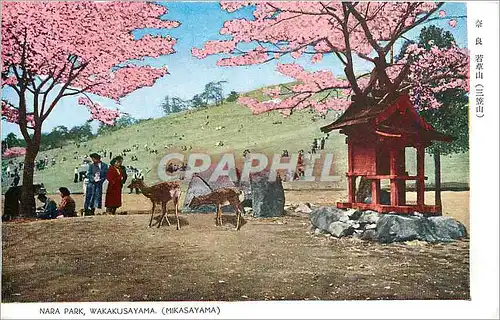 Cartes postales Nara Park Wakakusayama Mikasayama