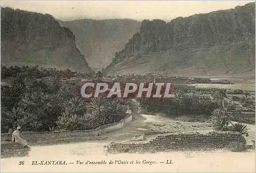 Cartes postales El Kantara Vue d'ensemble de l'Oasis et les Gorges