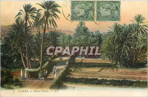 Cartes postales Gafsa Dans l'Oasis