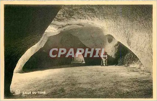 Cartes postales Salle du Tigre