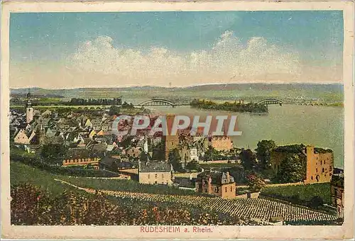 Cartes postales Rudesheim a Rhein